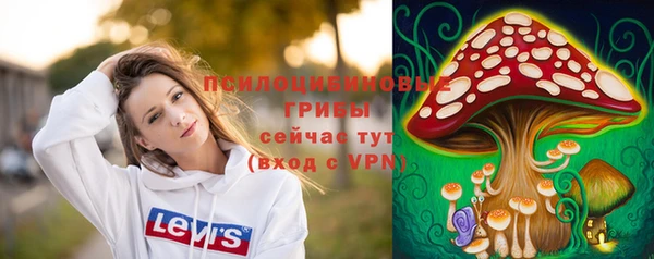 spice Алексеевка