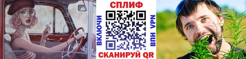 Каннабис планчик Калтан